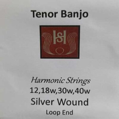 Harmonic 12/40 Loop End Silver Wound